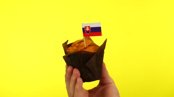 Dortík se slovenskou vlajkou na mužské dlani na žlutém pozadí — Stock video
