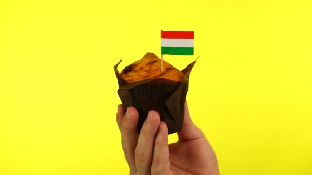 Cupcake met Hongaarse vlag op mannelijke palm tegen gele achtergrond — Stockvideo
