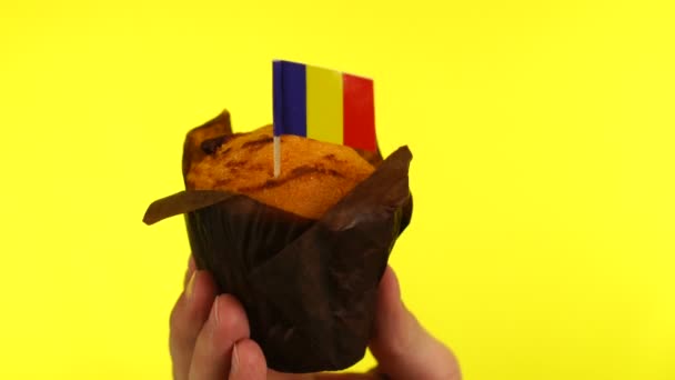 Dortík s rumunskou vlajkou na mužské dlani proti žlutému pozadí — Stock video