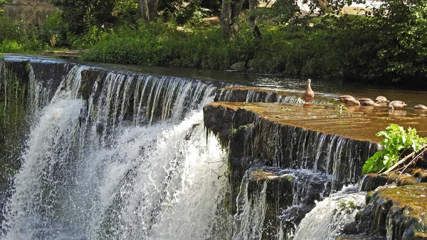 Vista de la hermosa cascada — Foto de Stock