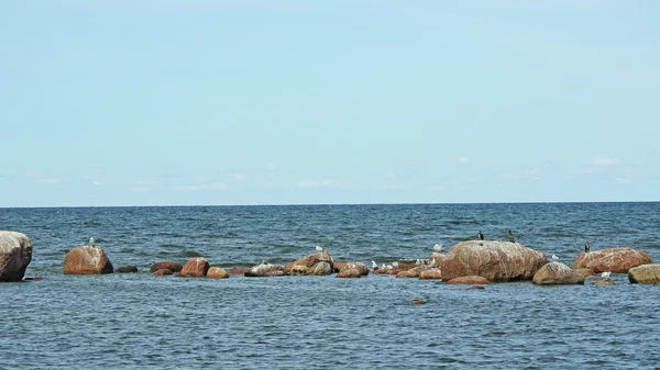 Vista panorámica del mar Báltico cerca de Tallin . — Foto de Stock