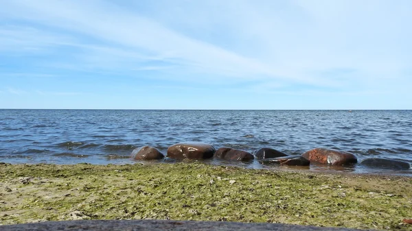 タリンの近くバルト海風景を見る. — ストック写真