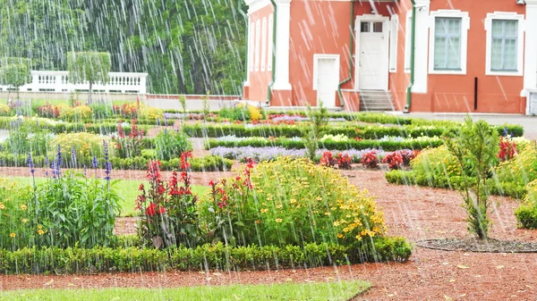 Día lluvioso en el parque de Estonia — Foto de Stock