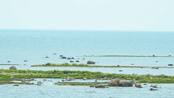 バルチック海風景を見る. — ストック写真