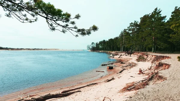 Balti-tengerre néző kilátással — Stock Fotó