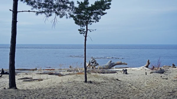 バルト海ビュー — ストック写真