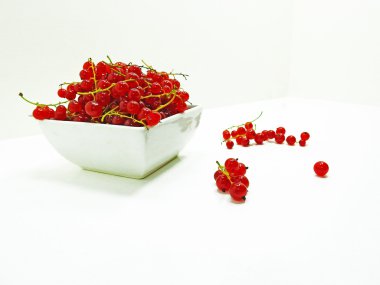 kırmızı taze kuş üzümü