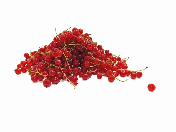 Red fresh currant — Stock Photo, Image