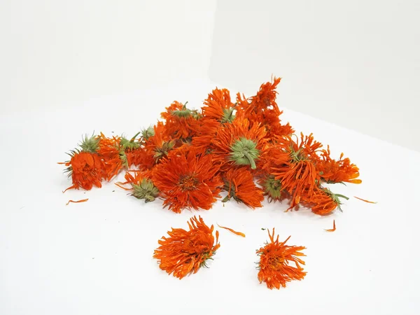 Сушені апельсинові квіти календули — стокове фото