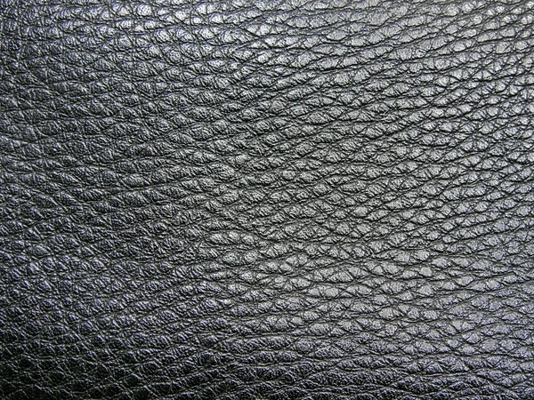 Texture monotone du cuir . — Photo