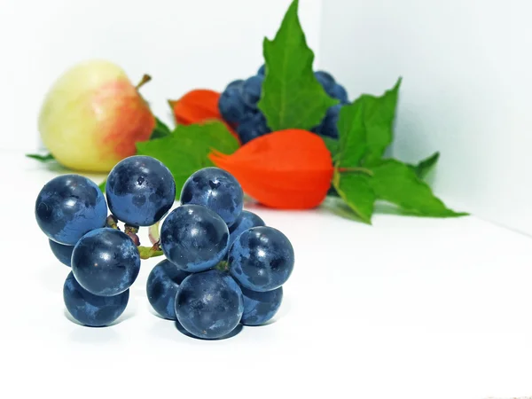 Apple, zwarte concord druiven en physalis bloem — Stockfoto