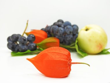 Apple, concord siyah üzüm ve physalis çiçek