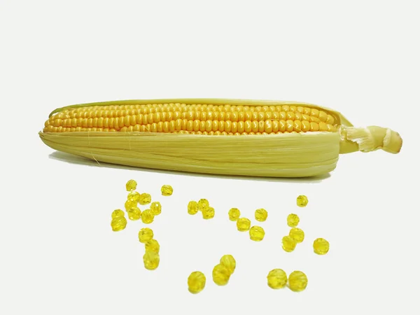 Verse gele maïs — Stockfoto
