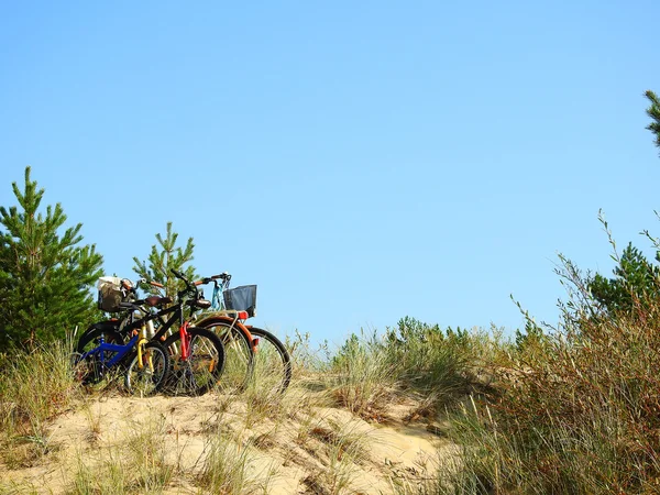 Bicycles on a sand hill at the beach. — Stock Photo, Image