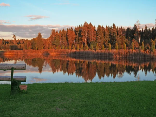 Reflexão de árvores outonais — Fotografia de Stock