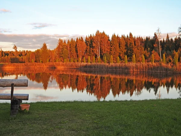 Autumnal tree reflection — Stock Photo, Image