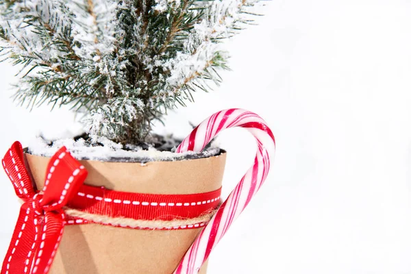 Vánoční Ozdoba Stromku Veselé Vánoce Malý Strom Izolovaný Bílém Pozadí — Stock fotografie