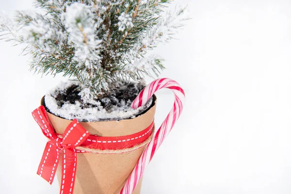 Vánoční Ozdoba Stromku Veselé Vánoce Malý Strom Izolovaný Bílém Pozadí — Stock fotografie