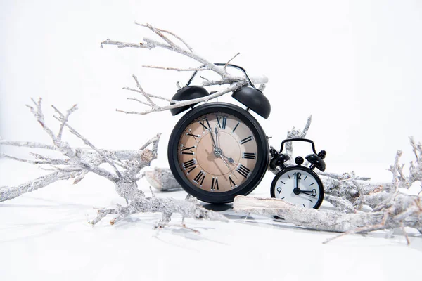 Μαύρο Ξυπνητήρι Vintage Ρολόι Λευκά Κλαδιά Δέντρων — Φωτογραφία Αρχείου