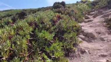 Portekiz 'in yürüyüş yolu Cabo da Roca Okyanus manzaralı doğa macerası açık hava manzaralı video