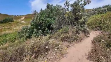 Manzaralı seyahat videosu Portekiz Cabo da Roca doğa doğa doğa doğa doğa doğa doğa doğa doğa doğa doğa doğa doğa macera okyanus