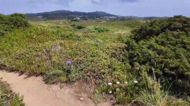 Cabo da Roca Portekiz turizmi manzaralı açık hava gezisi okyanus esintisi doğa manzaralı
