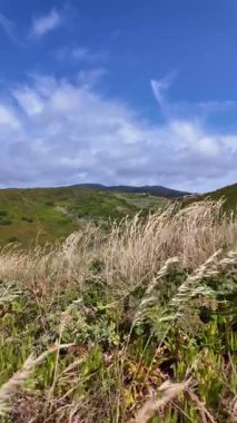 Cabo da Roca Portekiz seyahati video sahili okyanus yürüyüşü doğa turizmi
