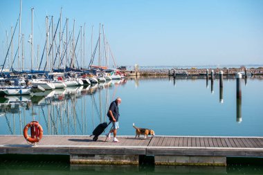 Kimliği belirsiz bir adam iskelede köpeğini gezdiriyor.  