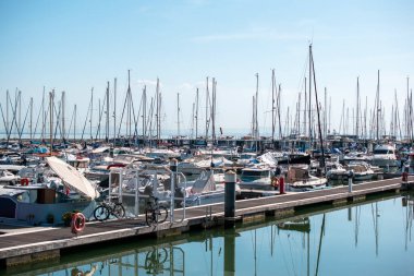 Limanda yatları ve motorlu tekneleri olan Marina.  