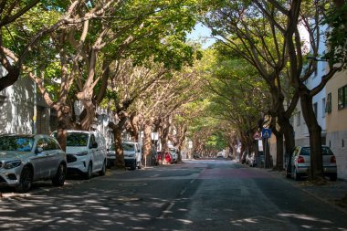 Park halindeki arabalarla Sunny Tree Lined Urban Caddesi