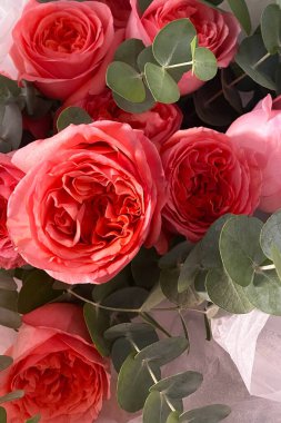 Okaliptüs yapraklı pembe güller, romantik durumlar için zarif bir çiçek aranjmanı.