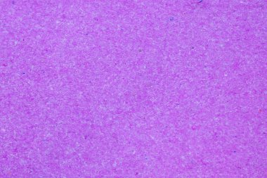 Canlı Mor desenli Yüzey Detayları