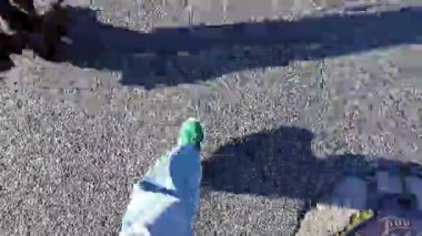 Lizbon Büyükşehir Yürüyüşü Yumuşak doğal güneş ışığıyla