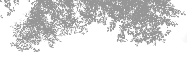 ağaç gövdesinin siyah ve beyaz görüntüsü, yapraklı siyah ve beyaz fotoğrafı, izole edilmiş bir ağacın siyah silueti, siyah ve beyaz ağaç silueti, soyut yeşillik silueti