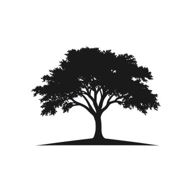 Kalın yapraklı ve güçlü gövdeli, temiz beyaz arka planda, olgun bir ağacın ayrıntılı vektör silueti. Çeşitli tasarım projeleri için uygundur.