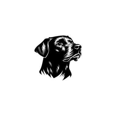 Siyah vektör simgesi bir labrador Retriever 'ın kafasını profilde gösteriyor, ince detaylar ve temiz beyaz arka planda dokulu bir görünüme sahip, net ve spesifik.
