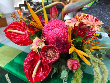 Kırmızı Anthuriumlar, pembe iğnelik Protea ve Cennet Kuşu 'nun yer aldığı canlı tropikal çiçek aranjmanı