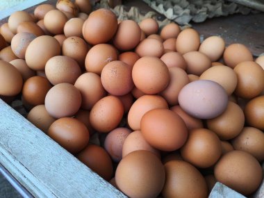 Tahta Sandıkta Taze Kahverengi Tavuk Yumurtası