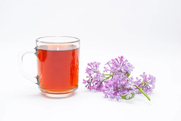 Black tea with lilac on a white background — Stock Photo, Image