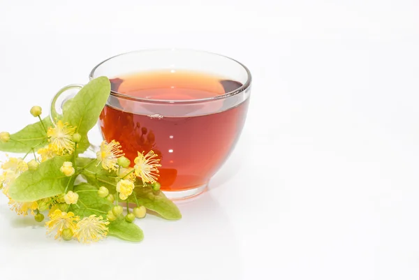 Taza de té con una ramita de tilo floreciente —  Fotos de Stock