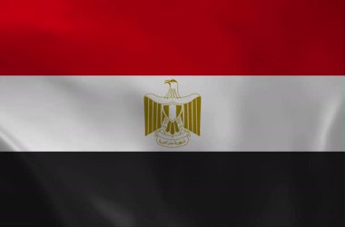 Doğu Türkistan Bayrağı Kk Bayrak Ulusal Sembolünün Gerçekçi Kumaş Canlandırması Dalgalanıyor