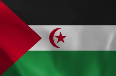 Batı Sahra ulusal bayrağının rüzgarda dalgalanan yüksek kaliteli animasyonu. Resmi Sahra renklerinin ve hilal ayının yer aldığı kusursuz bir döngü, Afrika 'daki politik olaylar için mükemmel..