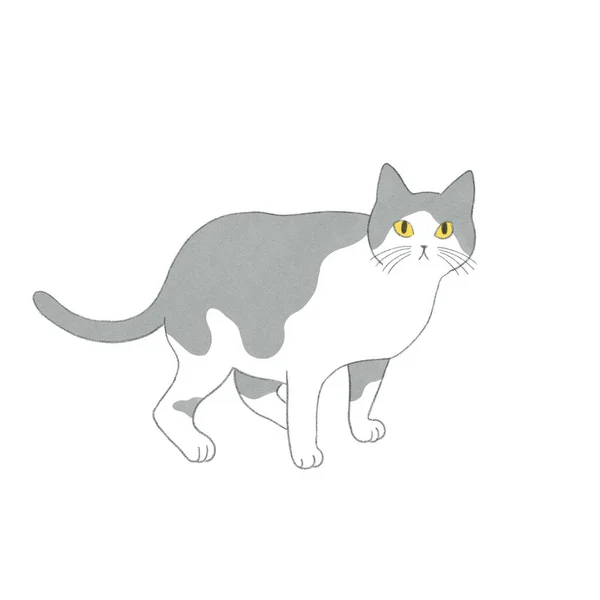 Illustrazione Digitale Acquerello Gatto Grigio Bianco Illustrazione Del Gatto Disegnato — Foto Stock