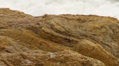 Sarı kayalar, yoğun gri gökyüzü ile dalgalı kaba denizde Yalnız kuğu ve martı.
