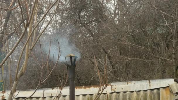 烟雾从森林中古老的黑烟囱冒出来。波纹灰石板的屋顶. — 图库视频影像
