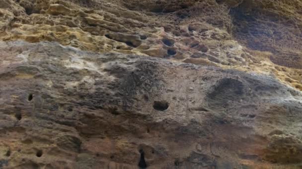 Kleines Feuer im Sand in der Nähe der Wand aus gelbem Muschelgestein. Picknick am Strand. — Stockvideo