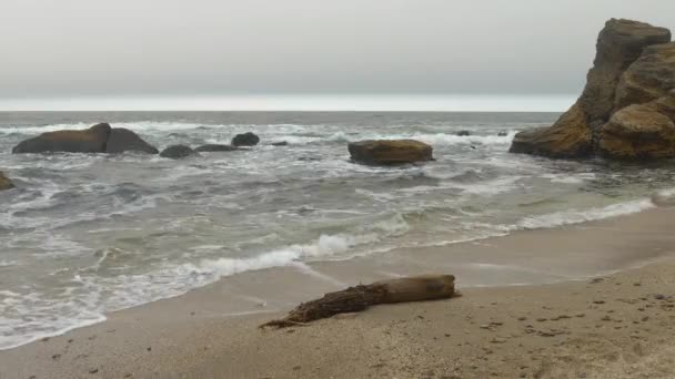 Wooden timber on sandy beach with choppy rough sea, dense gray clouds sky. — Wideo stockowe