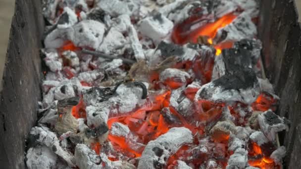 Burning wood and coal in the brazier. Preparing barbecue shish kebab and grill — Stock Video