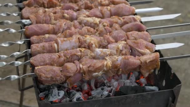 Vlees brochettes op grill. Saus druppels op kebab. Plaatsing van de porties van barbecue. — Stockvideo