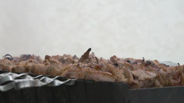 Vlees brochettes op grill. Saus druppels op kebab. — Stockvideo